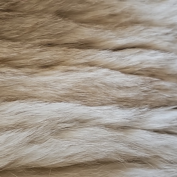 Vintage SAGA FOX genuine fur jacket excellent rarely worn soft warm elegant - Picture 8 of 14